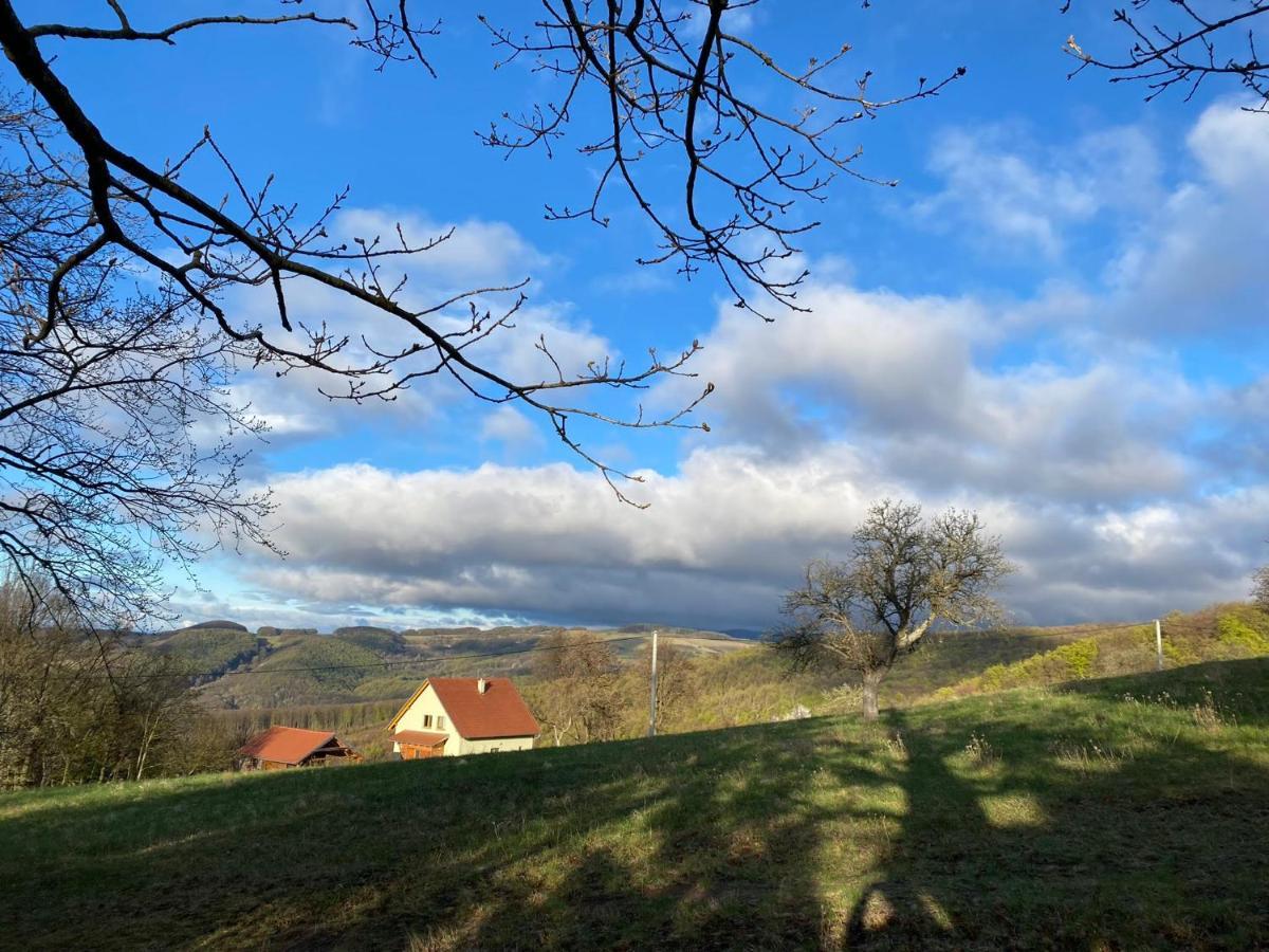 Nature Homestay Trenčín Exterior foto